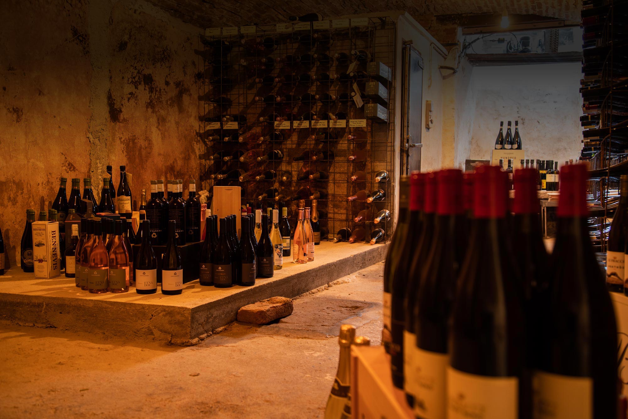 Cantina vini